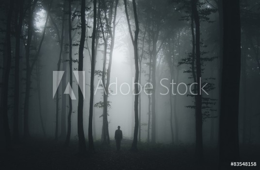 Picture of spooky halloween scene with man in dark forest